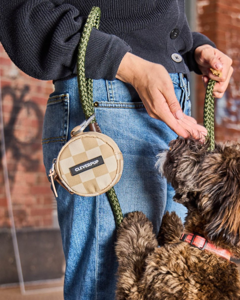 Snackpack Double Dog Treat Pouch Walk CLEVERPUP