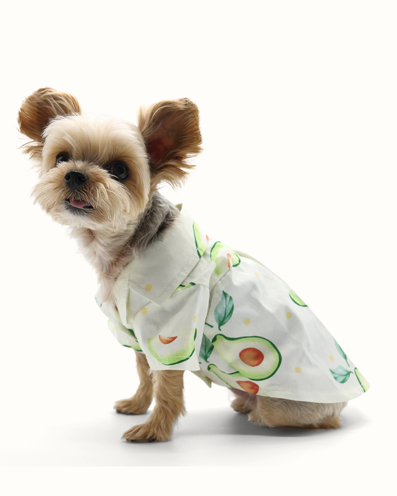 Avocado Button Dog Shirt for Dogs Wear DOGO   