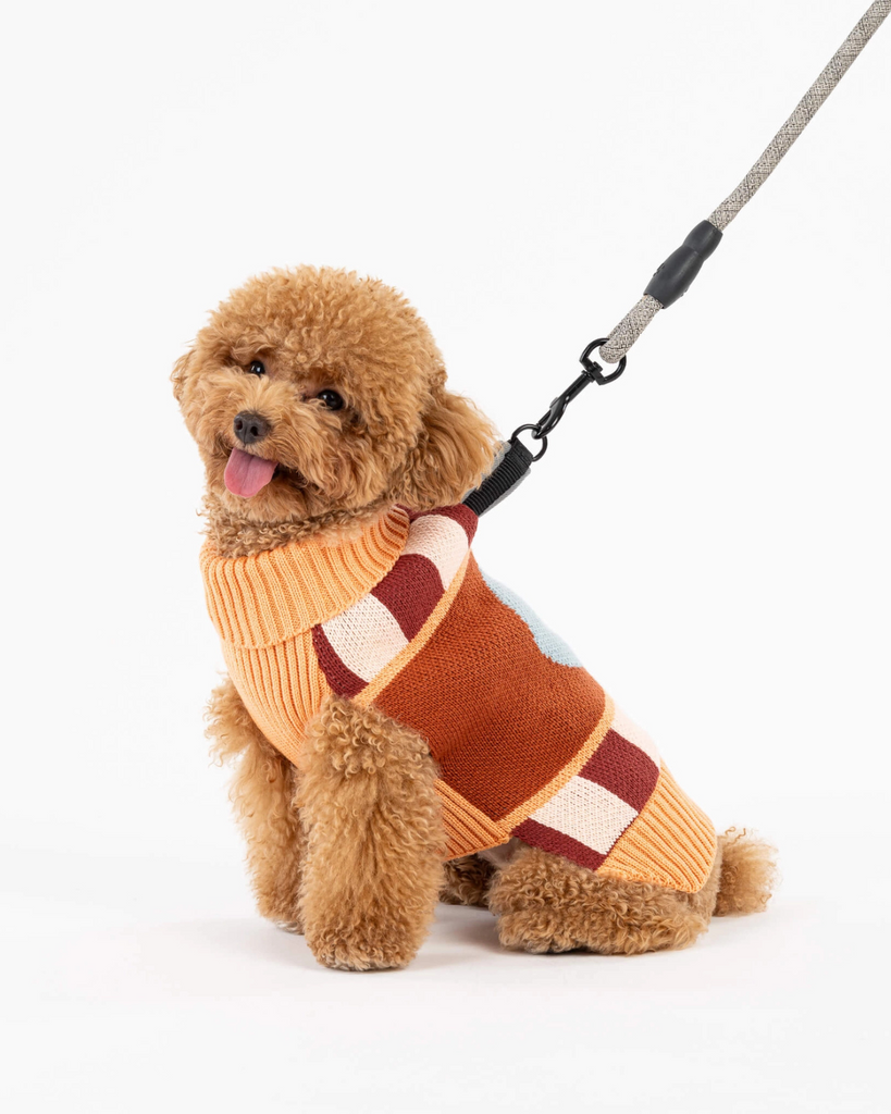 Stripe Dot Dog Sweater Wear VERLOOP