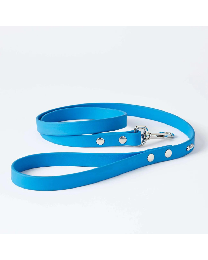 Sky Blue Clouds Dog Collar + Leash Set (Made in Canada) Walk HOT DOGS ALL DRESSED