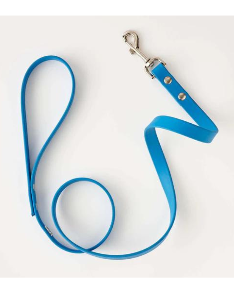 Vegan Leather Dog Leash in Sky Blue (Made in Canada) WALK HOT DOGS ALL DRESSED   