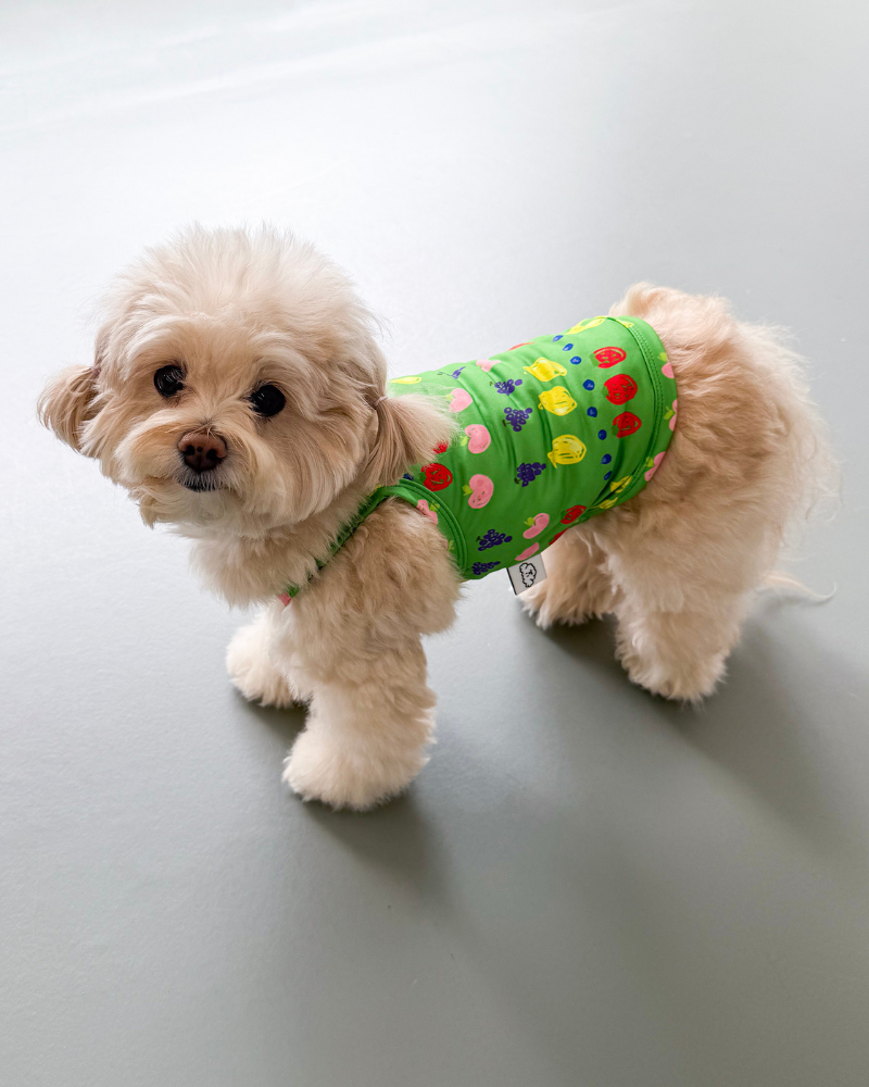 Fruit Juice Dog Cooling Tank Wear COTE A COTE