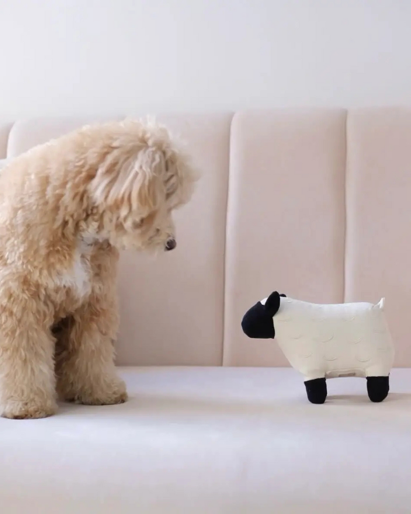 Dolly the Sheep Squeaky Plush Dog Toy PLAY LAMBWOLF COLLECTIVE