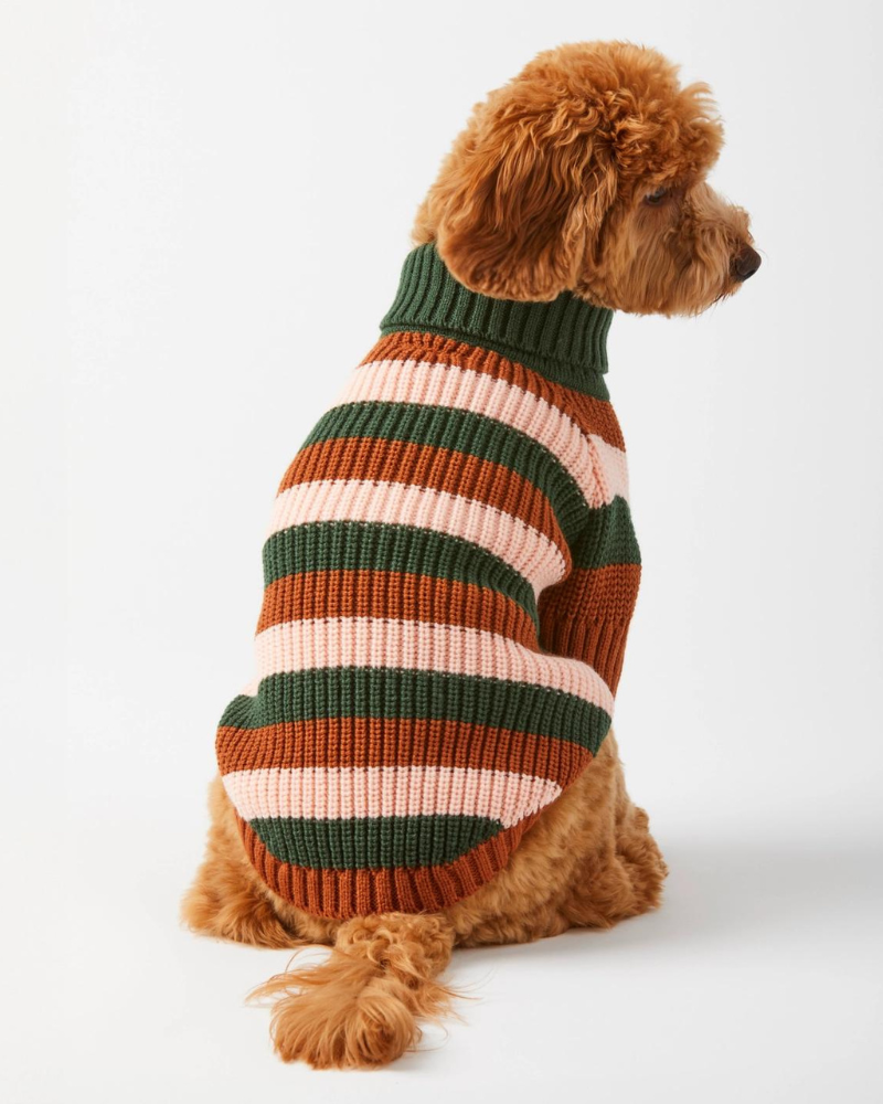Bold Stripe Dog Sweater (FINAL SALE) Wear THE FOGGY DOG