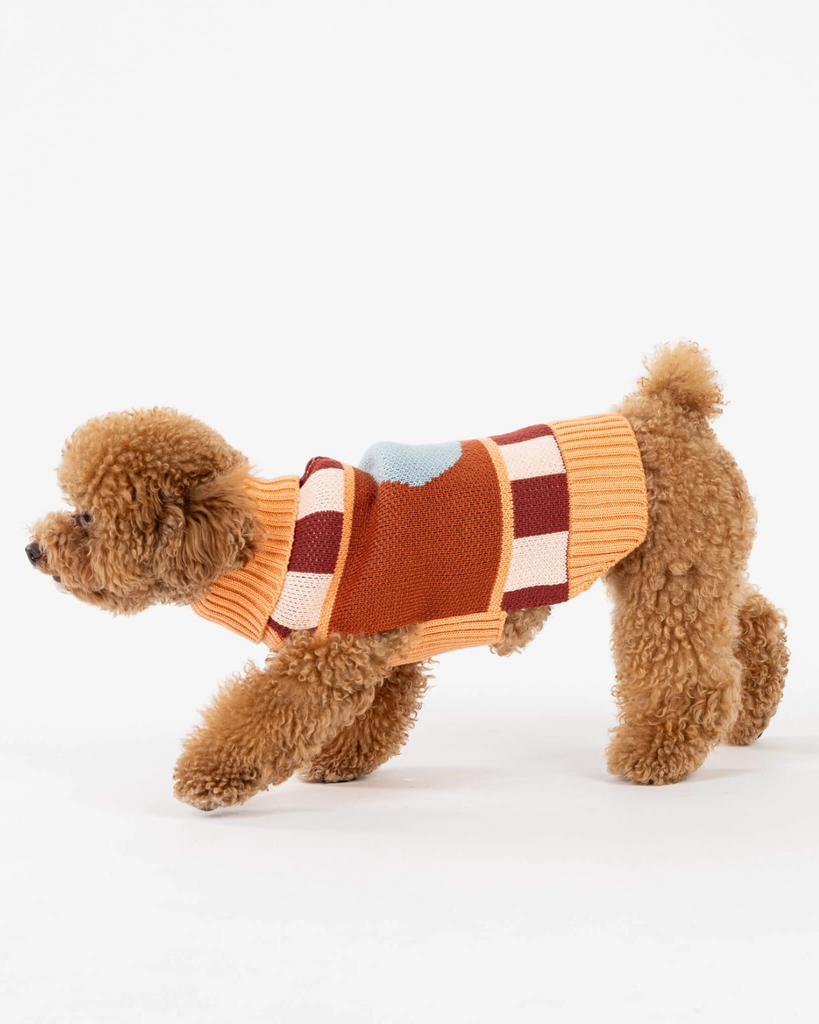 Stripe Dot Dog Sweater Wear VERLOOP