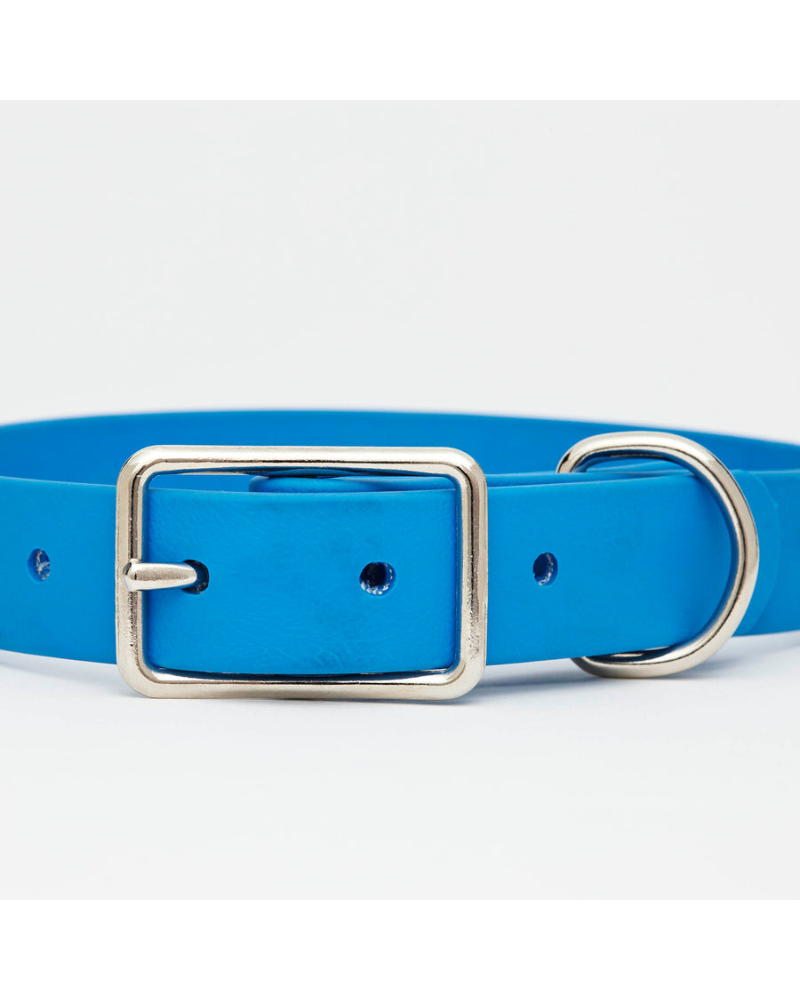 Sky Blue Clouds Dog Collar + Leash Set (Made in Canada) Walk HOT DOGS ALL DRESSED