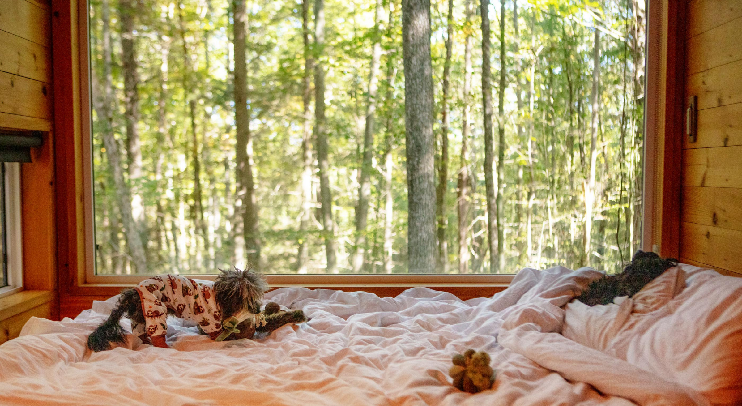 DOG & CO. | Quality Pet Products, In-Store & Online