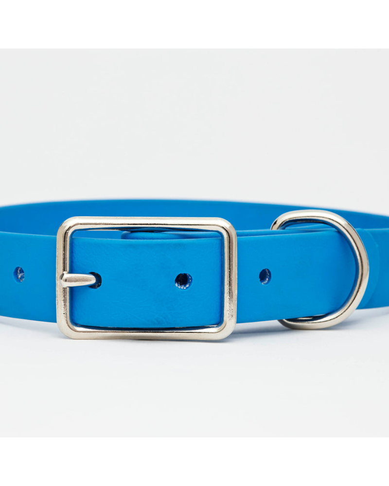 Sky Blue Vegan Leather Dog Collar with Clouds (Made in Canada) WALK HOT DOGS ALL DRESSED   