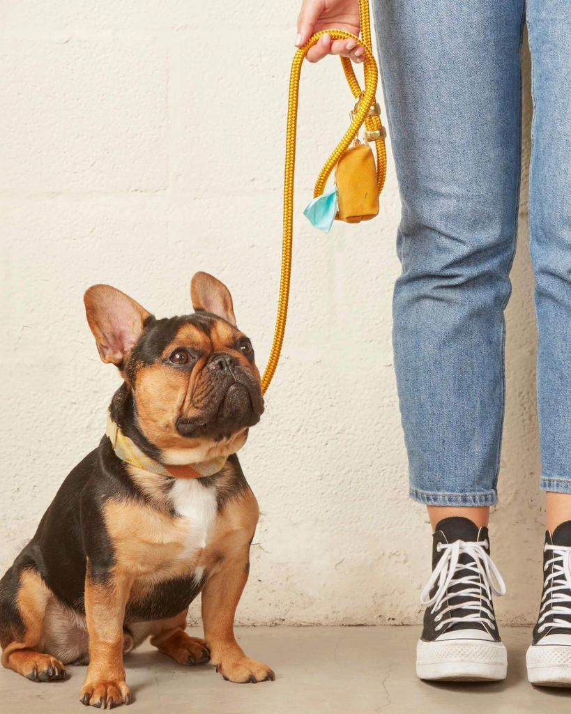 Sunflower Waxed Canvas Waste Bag Dispenser (Made in the USA) WALK THE FOGGY DOG   