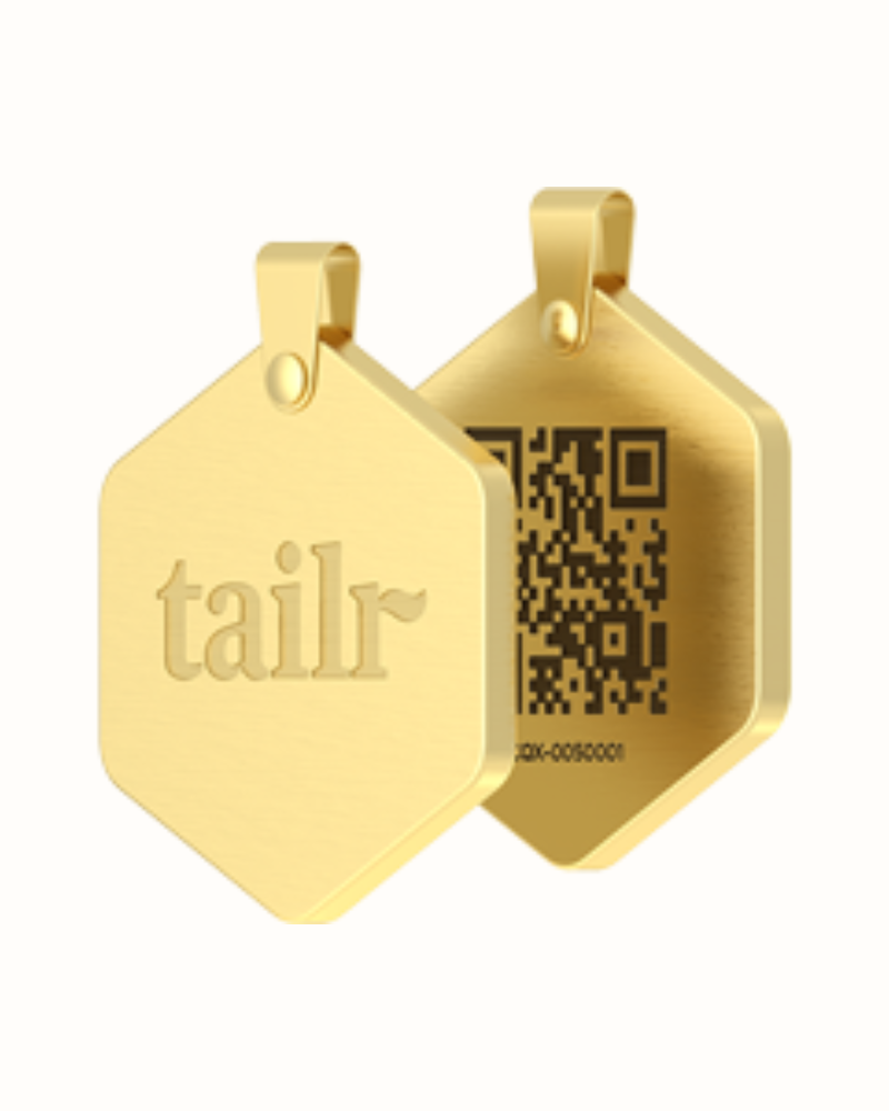 Tailr QR ID Tag for Pets (Classic Hanging Tag) Wear TAILR   