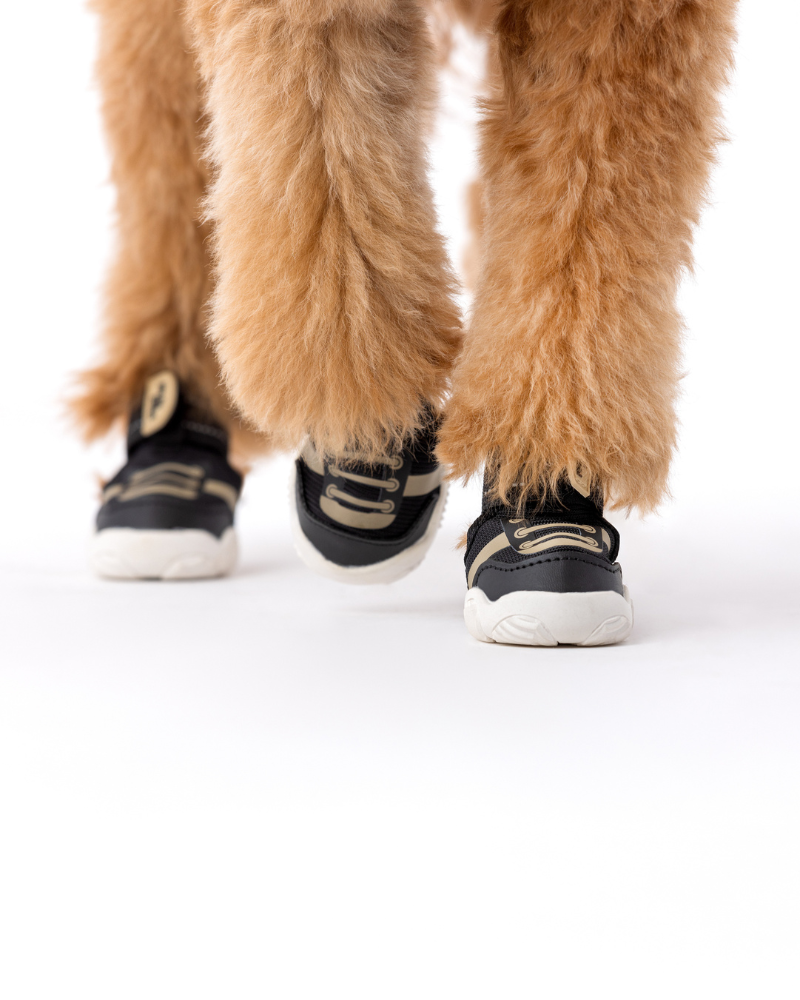 The Kai - Protective Footwear for Dogs Wear PAWS BY KAI