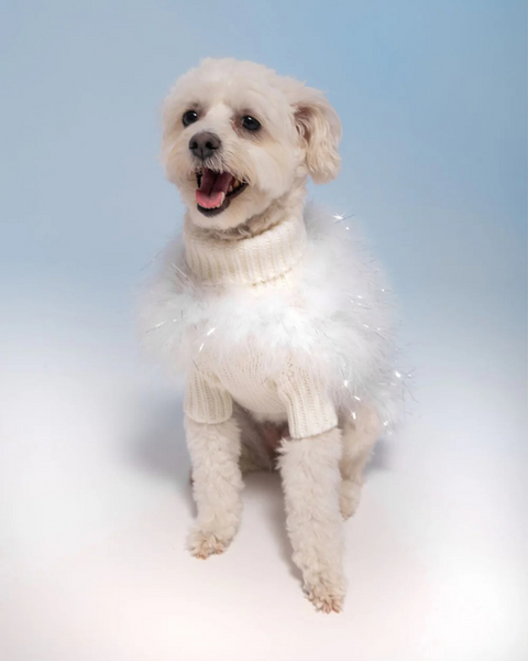 MAXBONE | Holiday Glitz Dog Jumper in Snow White | DOG & CO.