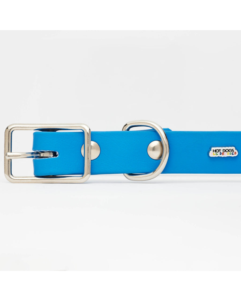 Sky Blue Clouds Dog Collar + Leash Set (Made in Canada) Walk HOT DOGS ALL DRESSED