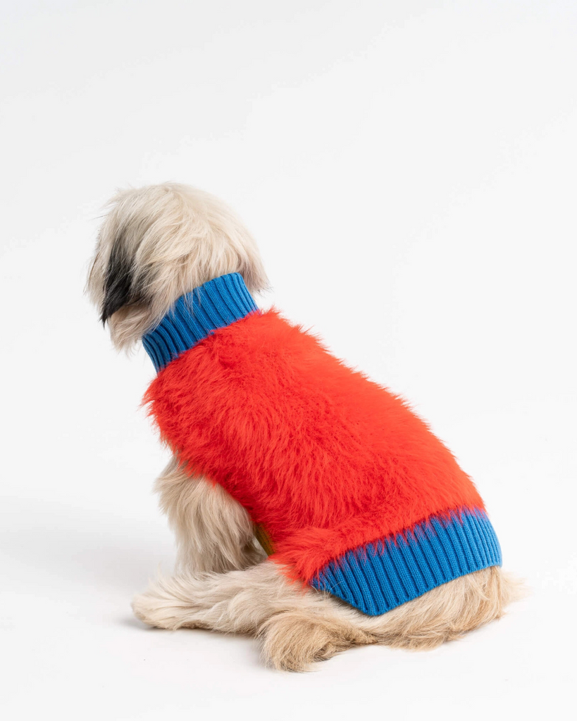 Faux Fur Dog Sweater in Poppy Wear VERLOOP