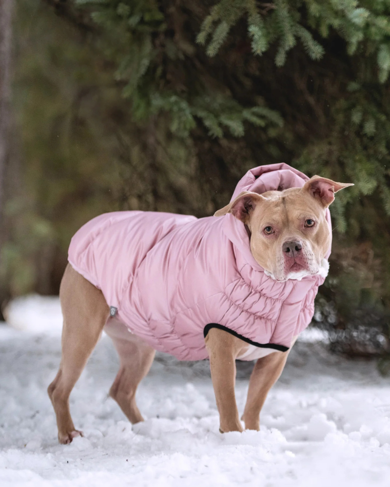 Lunar Glow Dog Parka in Pink Wear GF PET