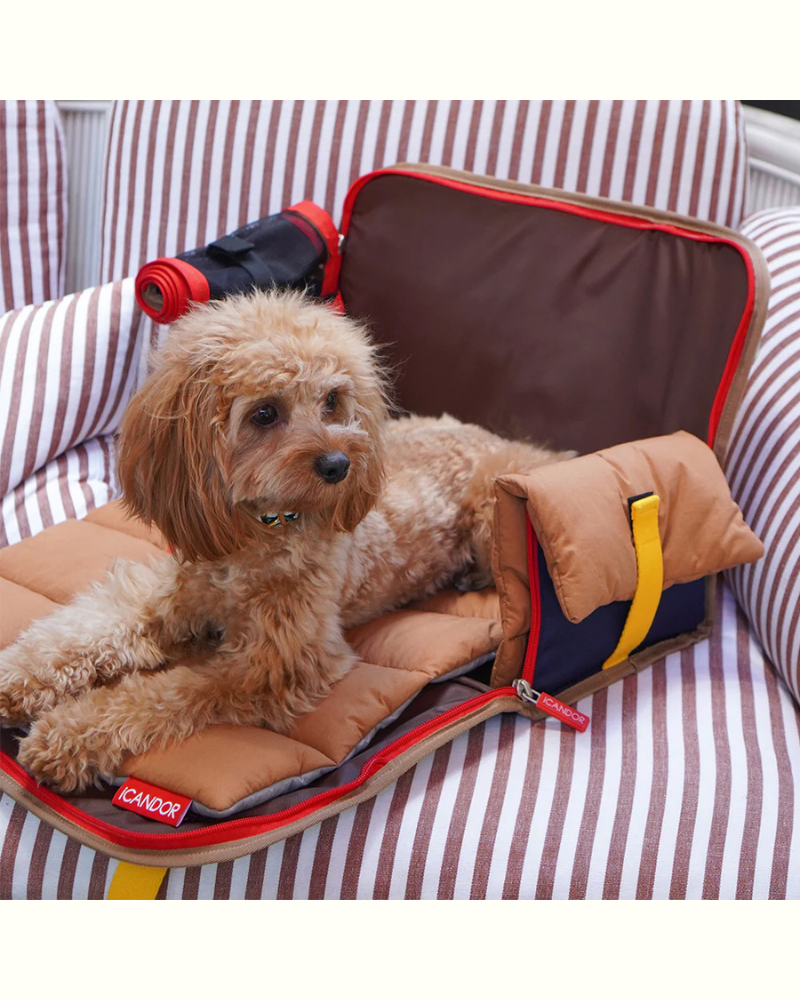 iBag Dog Carrier in Cream