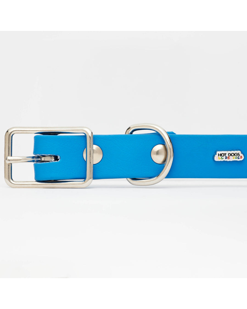 Sky Blue Vegan Leather Dog Collar with Clouds (Made in Canada) WALK HOT DOGS ALL DRESSED   