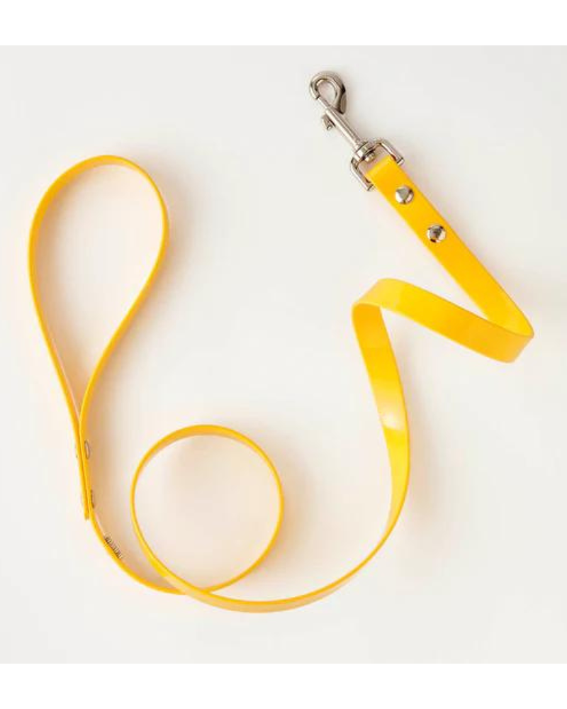 Hydro Dog Leash in Yellow (Made in Canada) WALK HOT DOGS ALL DRESSED   