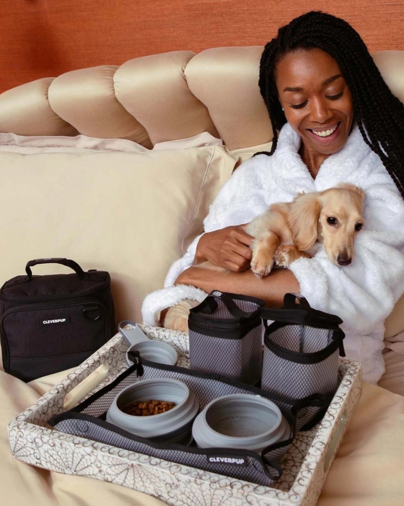 Bistro Box Dog Food Travel Kit in Graphite or Heather Grey