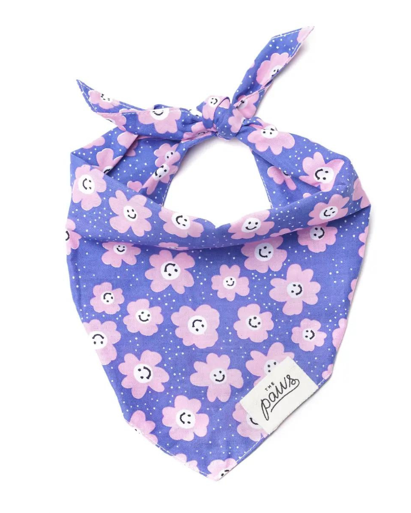 Ditzy Daisies Pink + Purple Dog Bandana (FINAL SALE) Wear THE PAWS   