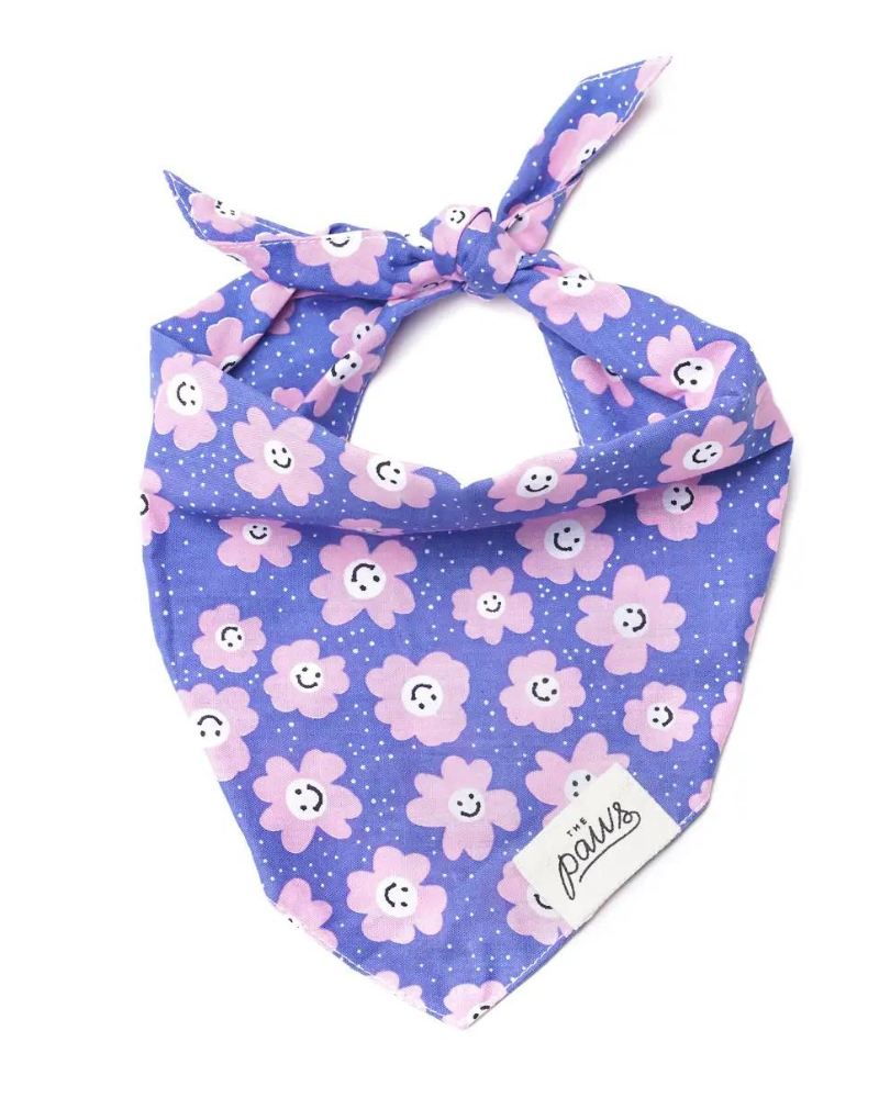 Ditzy Daisies Pink + Purple Dog Bandana (CLEARANCE) Wear THE PAWS   
