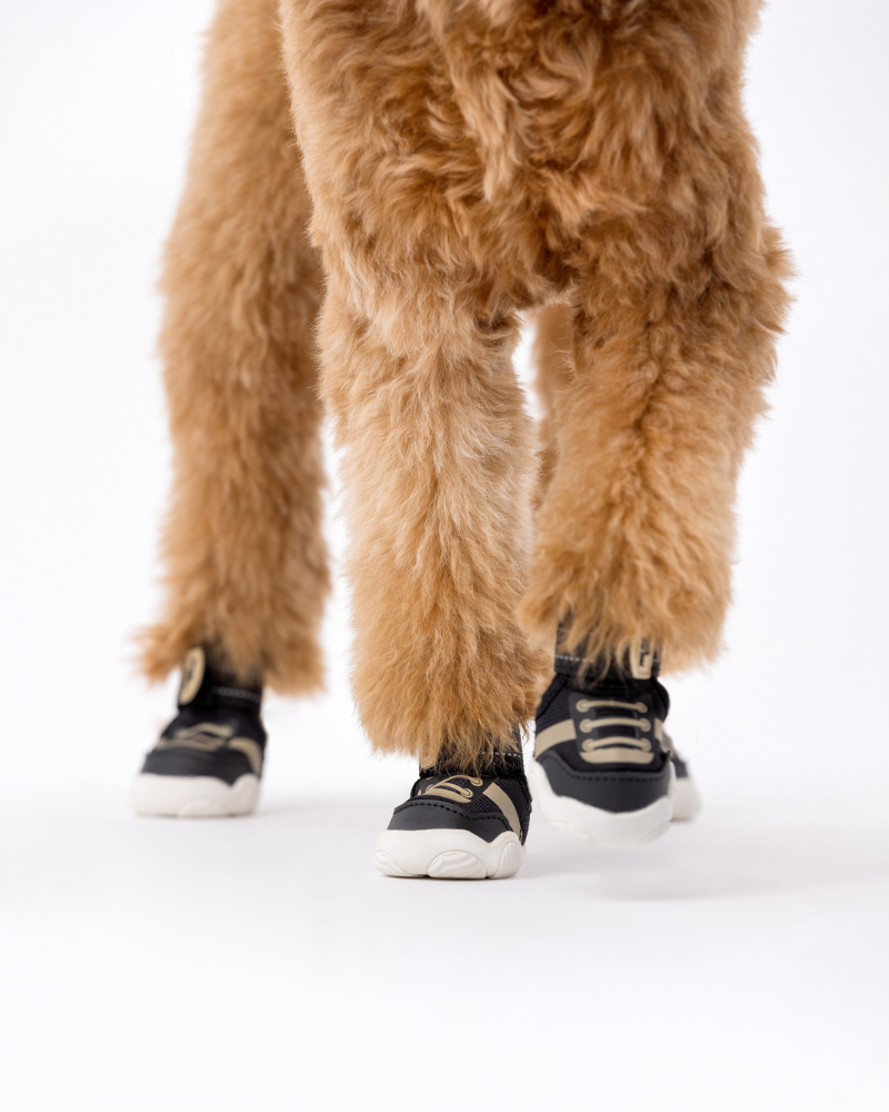 The Kai - Protective Footwear for Dogs Wear PAWS BY KAI