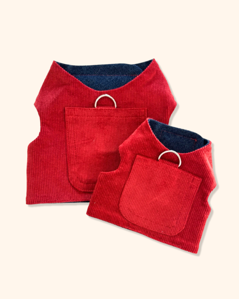 Corduroy Dog Harness in Cherry (Made in the USA) WALK HEADS OR TAILS PUP