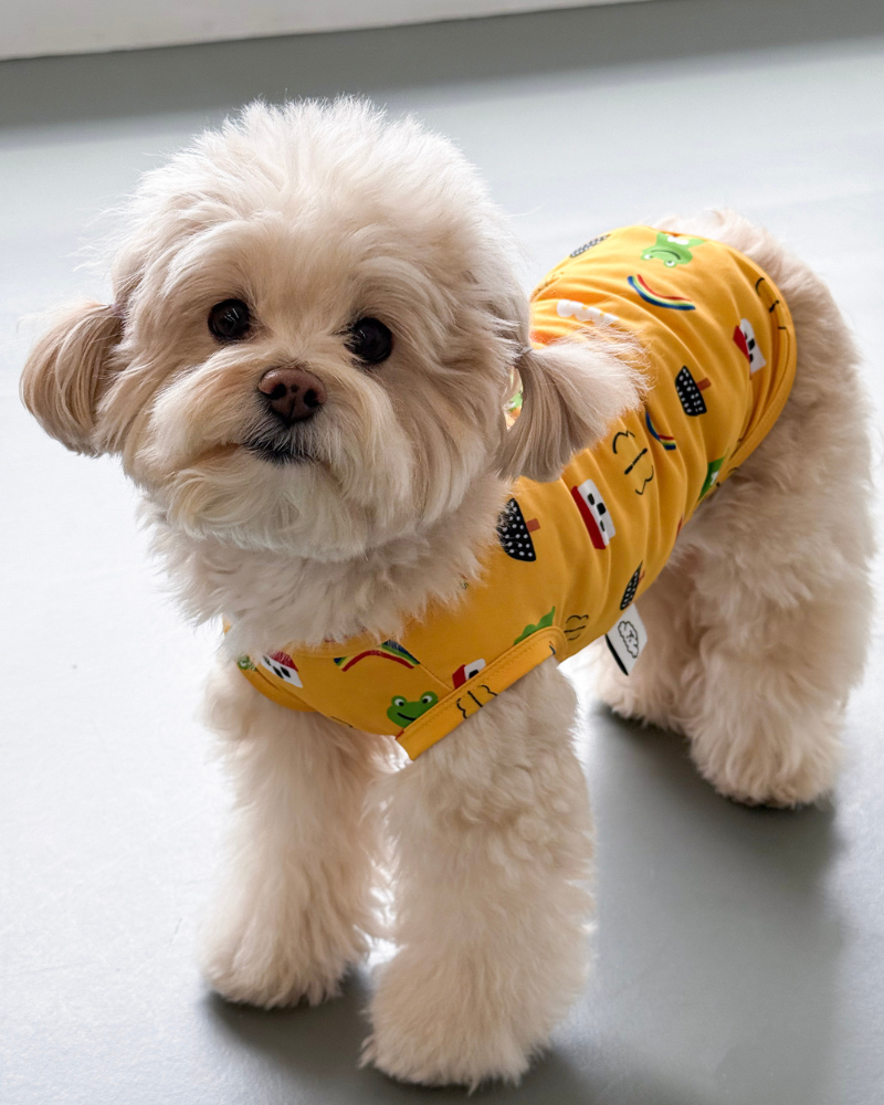 Froggy Friend Dog Cooling Tee Wear COTE A COTE