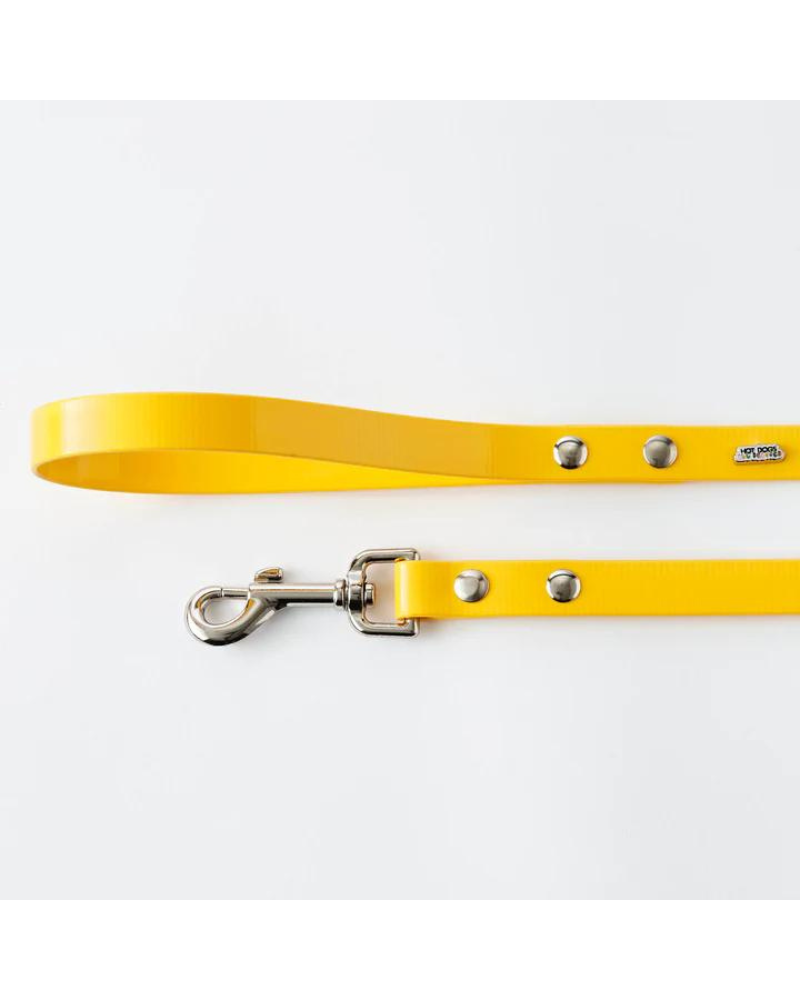 Hydro Dog Leash in Yellow (Made in Canada) WALK HOT DOGS ALL DRESSED   