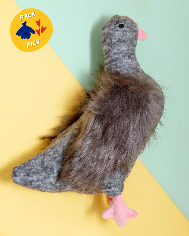 Pecky Pigeon Squeaky Dog Toy Play MANHATTAN TOY   