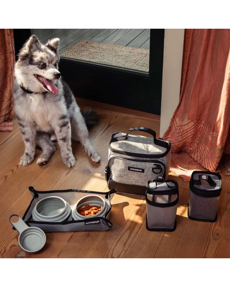 Bistro Box Dog Food Travel Kit in Graphite or Heather Grey