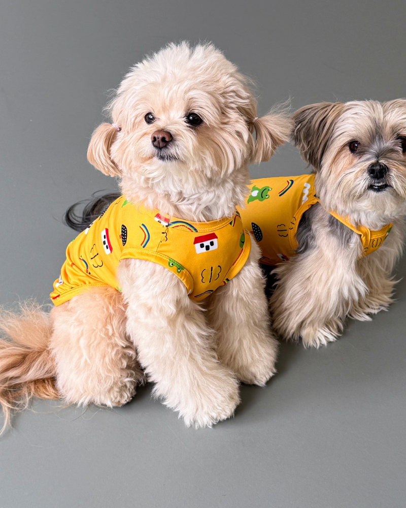 Froggy Friend Dog Cooling Tee Wear COTE A COTE
