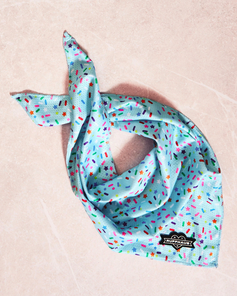 Confetti Dog Cooling Bandana Wear RUFFHAUS