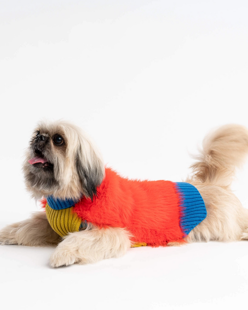 Faux Fur Dog Sweater in Poppy Wear VERLOOP