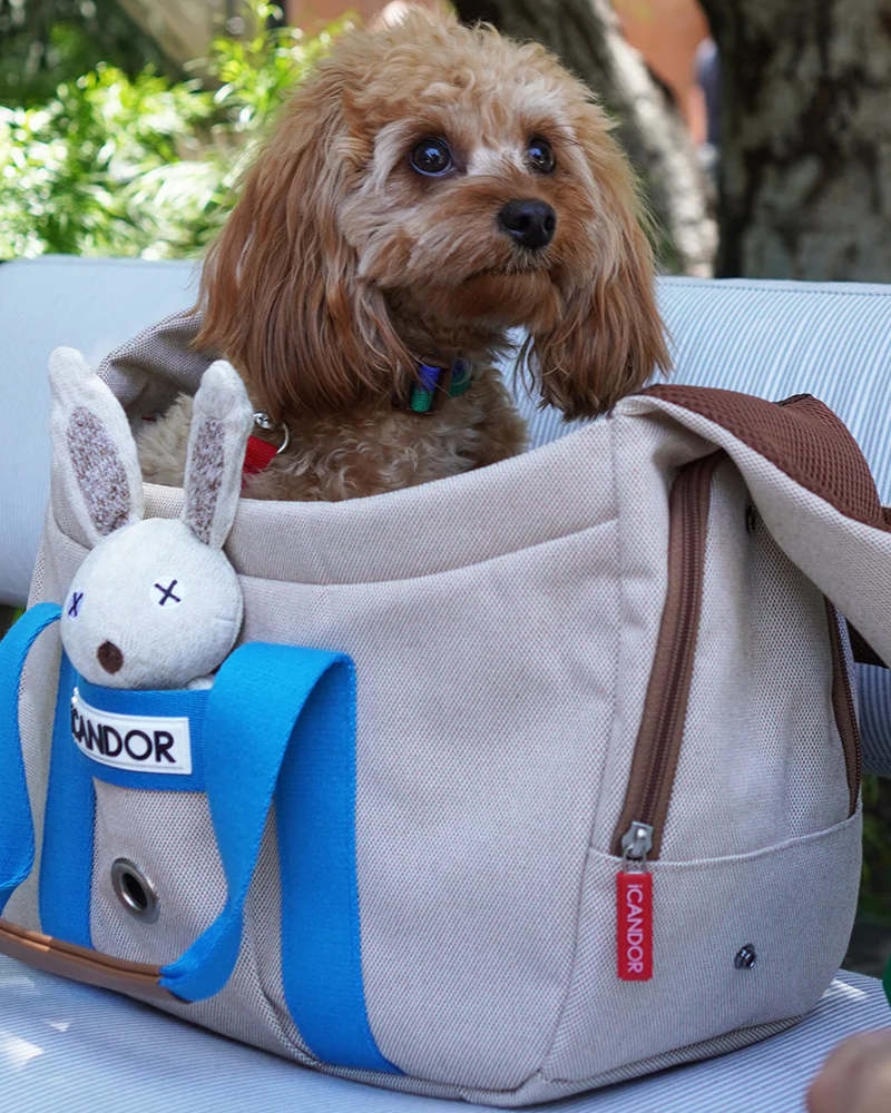 Peek-a-Boo Dog Sling Bag in Cream