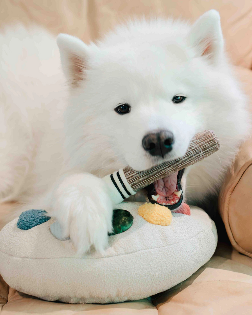 Color Palette Set Dog Enrichment Toy PLAY LAMBWOLF COLLECTIVE