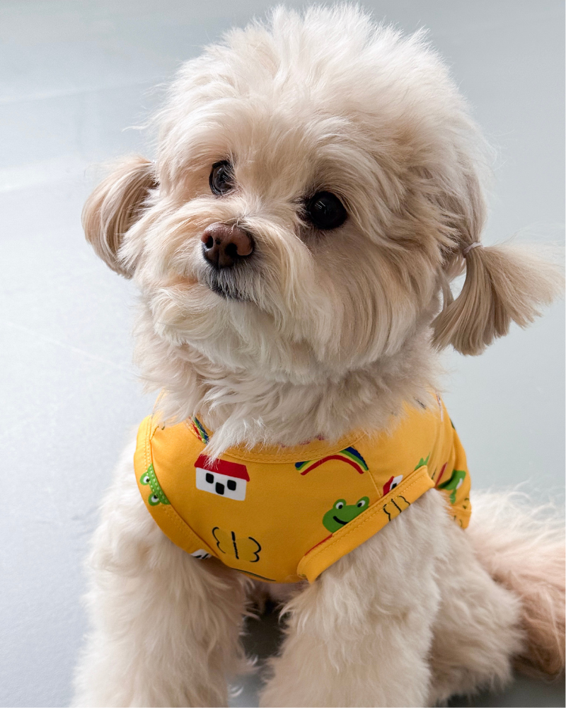 Froggy Friend Dog Cooling Tee Wear COTE A COTE