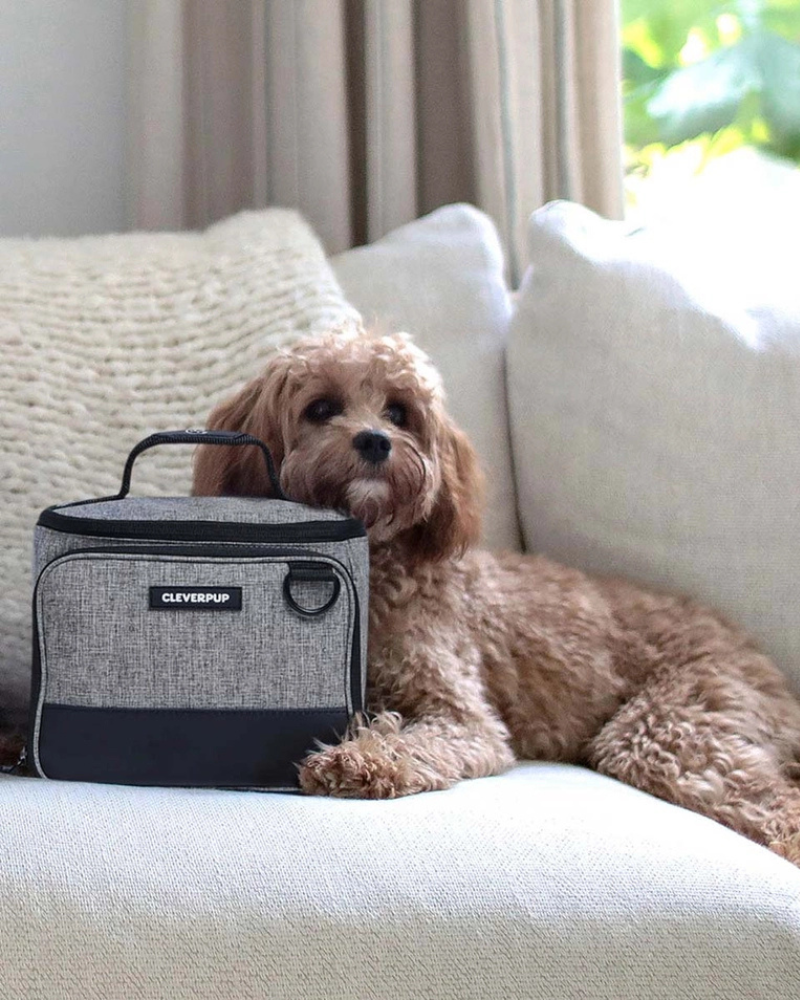 Bistro Box Dog Food Travel Kit in Graphite or Heather Grey