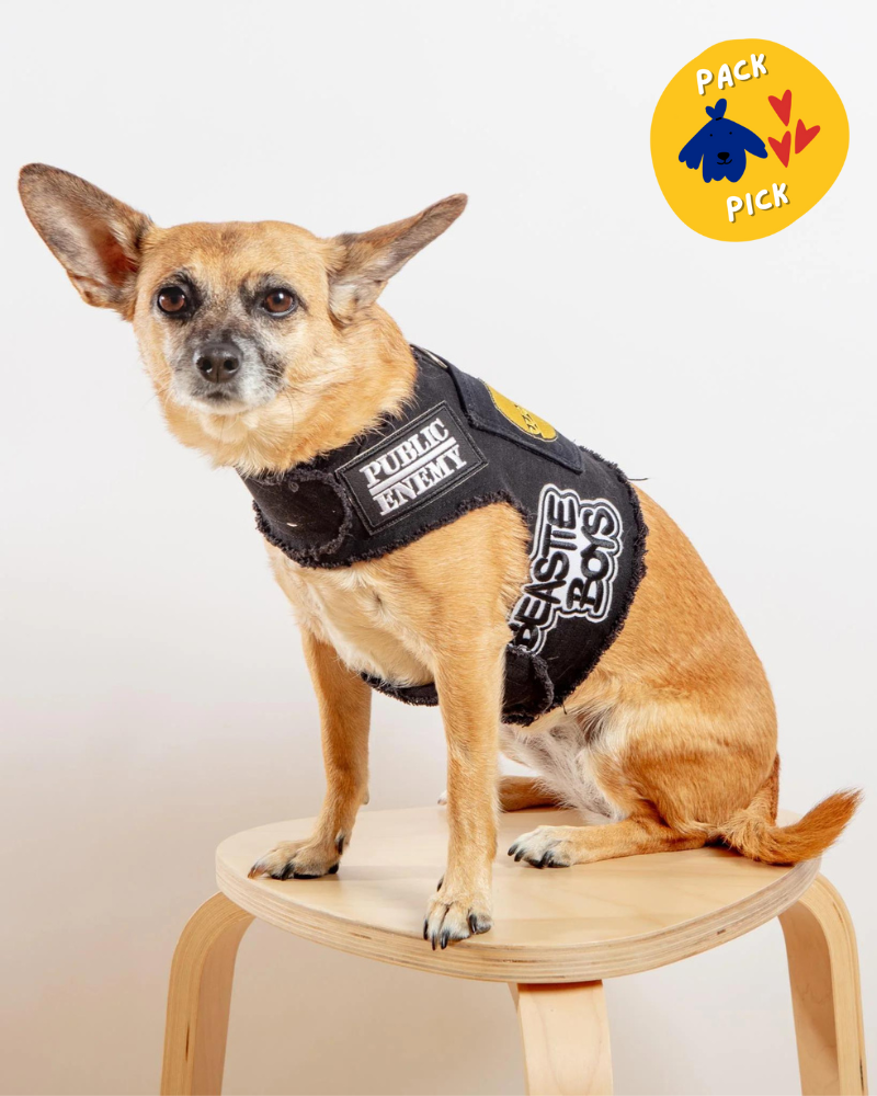 The High Life Rocker Upcycled Denim Dog Harness (FINAL SALE) WALK HEADS OR TAILS PUP   
