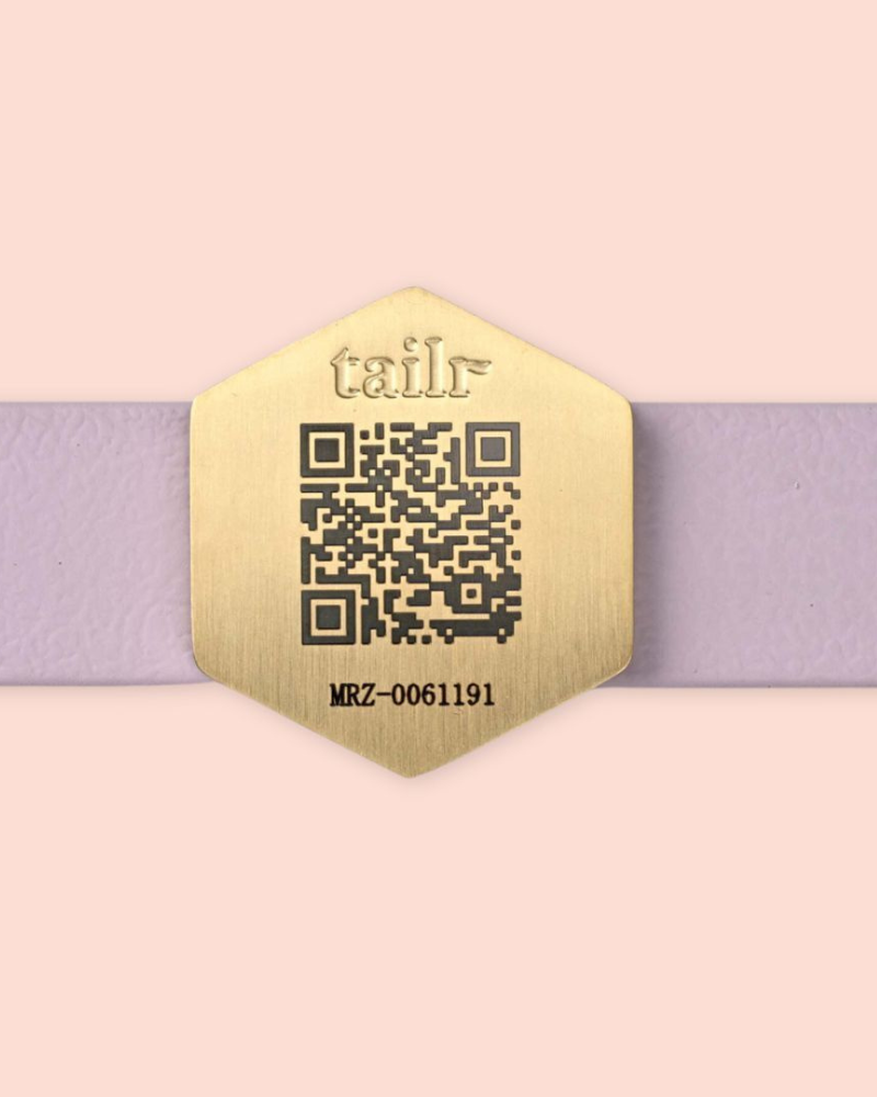 Tailr QR ID Tag for Pets (Slide Tag) Wear TAILR   