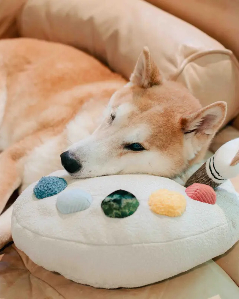 Color Palette Set Dog Enrichment Toy PLAY LAMBWOLF COLLECTIVE