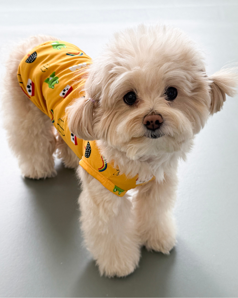 Froggy Friend Dog Cooling Tee Wear COTE A COTE