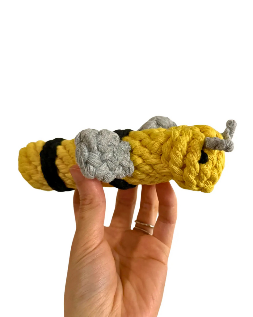 Pet Bee Rope KNOTTY PAWZ | Handmade Bee Sustainable Dog Rope Toy | DOG & CO.