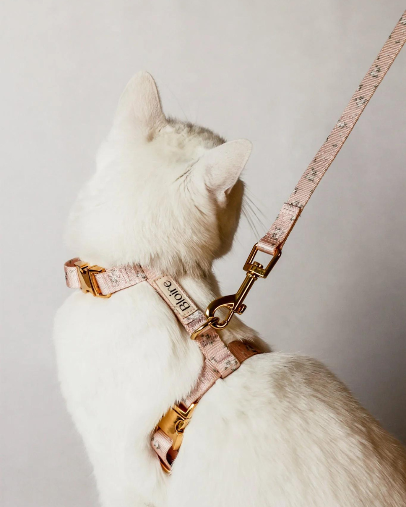 Meadow Matching Cat Harness & Leash Set WALK Bloire   
