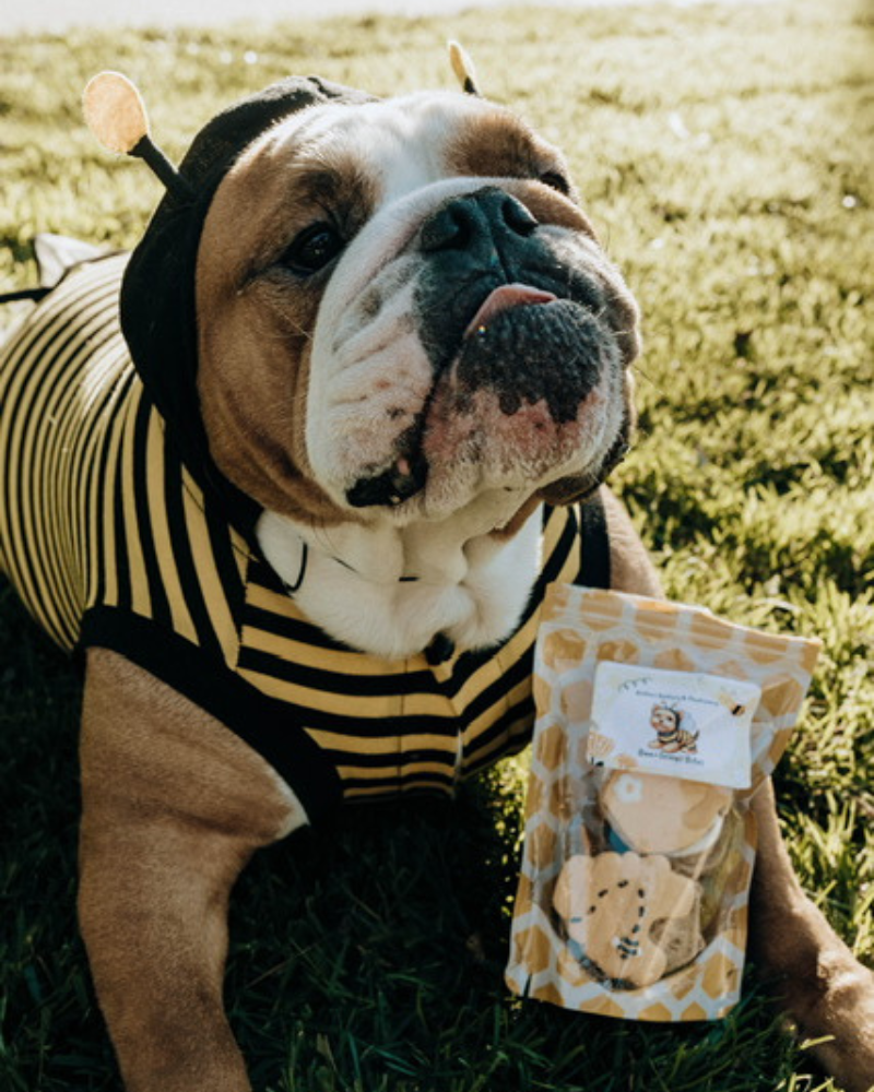 Bee-Licious Peanut Butter Dog Treats EAT BUTTERS BARKERY & PAWTISSERIE   