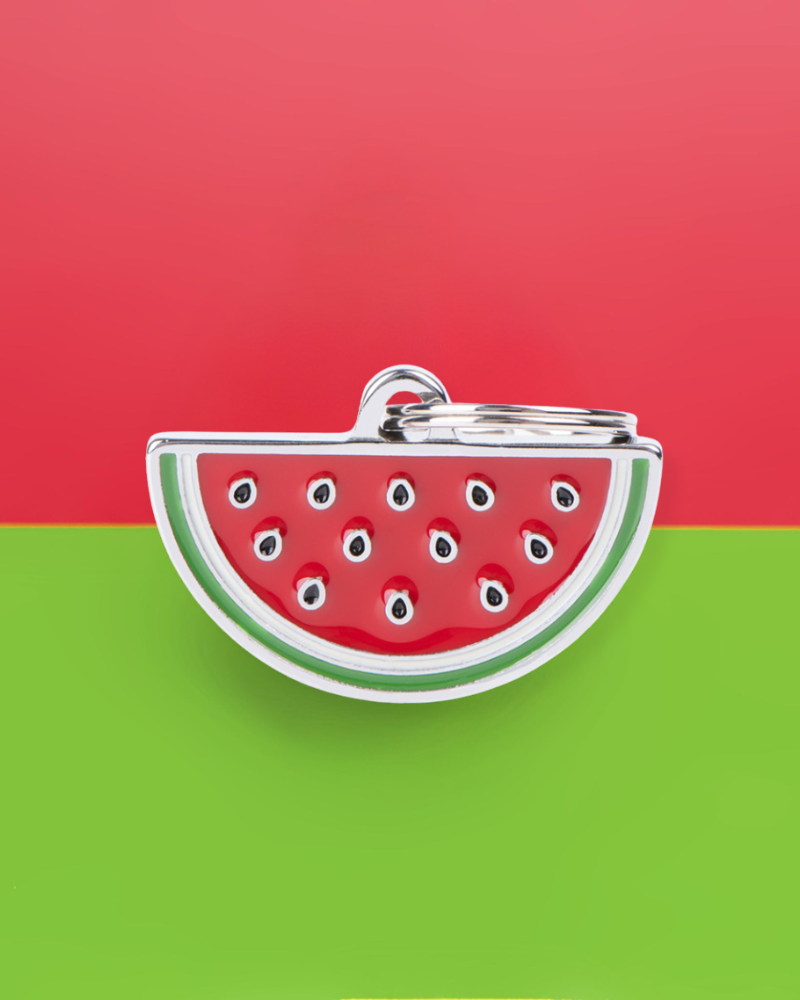 Watermelon Custom Pet ID Tag Wear MY FAMILY