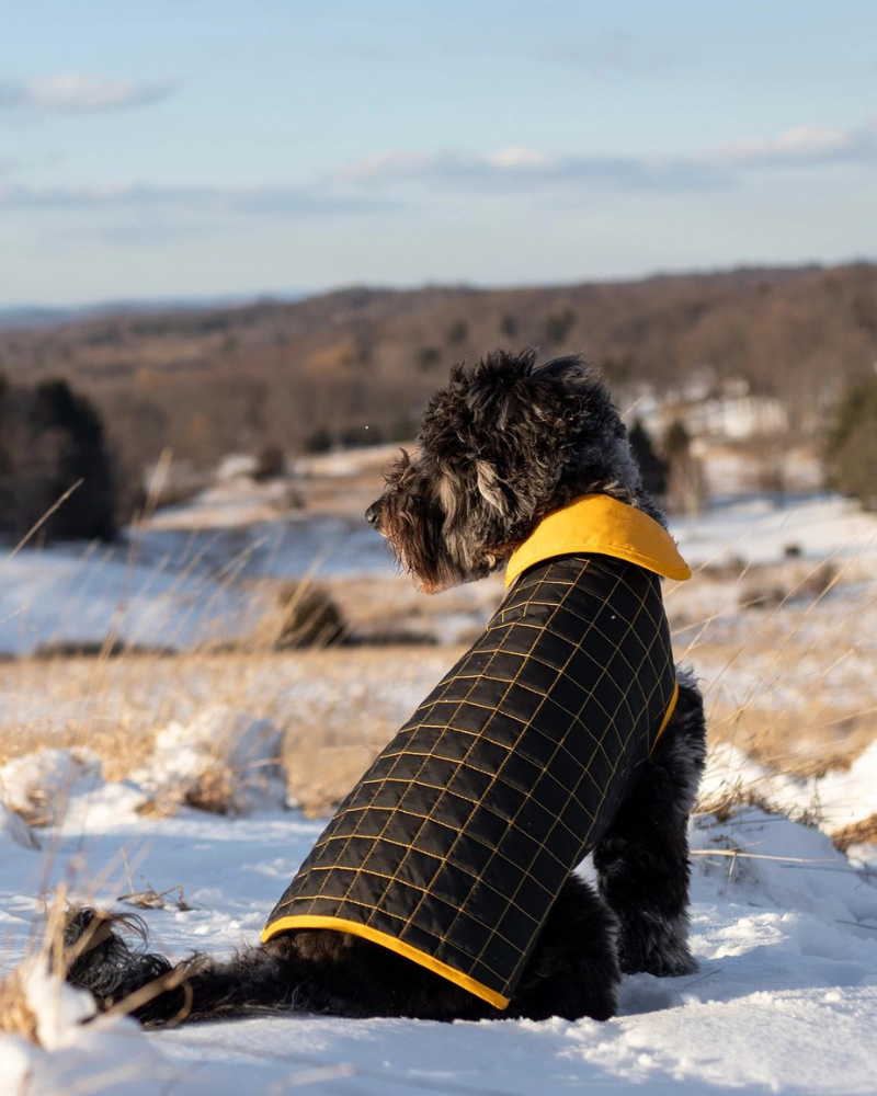 Yaku Reversible Waterproof Dog Coat Wear PACO & LUCIA   