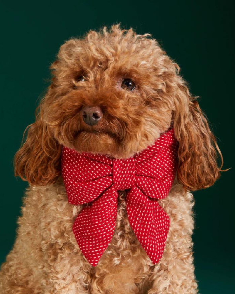 Berry Stitch Dog Lady Bow (Made in the USA) Wear THE FOGGY DOG   