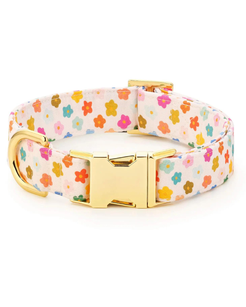 Rainbow Flower Dog Collar (Made in the USA) (FINAL SALE) WALK THE FOGGY DOG   