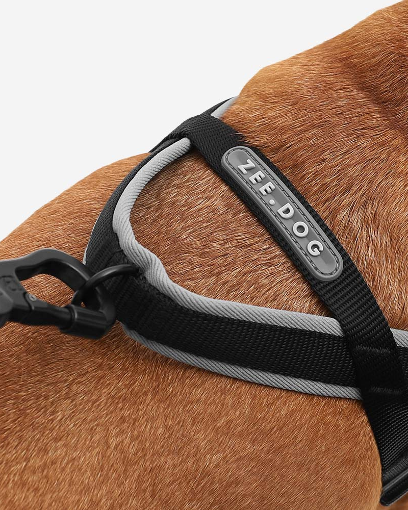 SoftWalk No-Pull Dog Harness WALK ZEE.DOG   